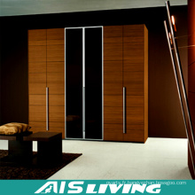 Customized Laminate Pull-out Wardrobe Closet Design (AIS-W192)